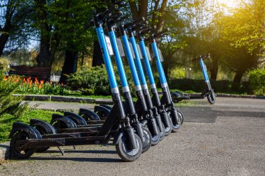 Electric scooters in the parking lot. Scooter rental for a trip around the city.