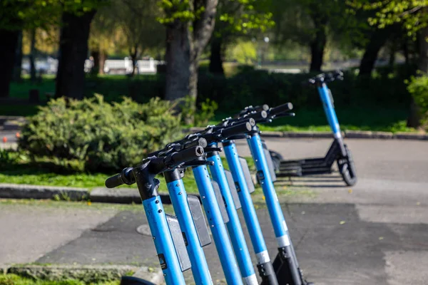 Electric scooters in the parking lot. Scooter rental for a trip around the city.