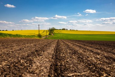 Güneşli bir günde ekmeden önce sürülen tarlalar.