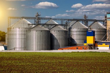 Tarım Siloları. Tahıl depolama ve kurutma tahıl, buğday, mısır, soya, ayçiçeği beyaz bulutlu mavi gökyüzüne karşı. Ekin depolama.