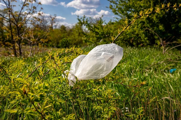 一个塑料袋粘在灌木丛和树上的树枝上 世界上的生态问题 — 图库照片