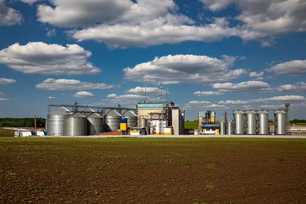 stock image Agricultural Silos. Storage and drying of grains, wheat, corn, soy, sunflower against the blue sky with white clouds.Storage of the crop.