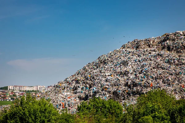 Απορρίμματα Σκουπιδιών Έξω Από Την Πόλη Στην Ύπαιθρο Royalty Free Φωτογραφίες Αρχείου