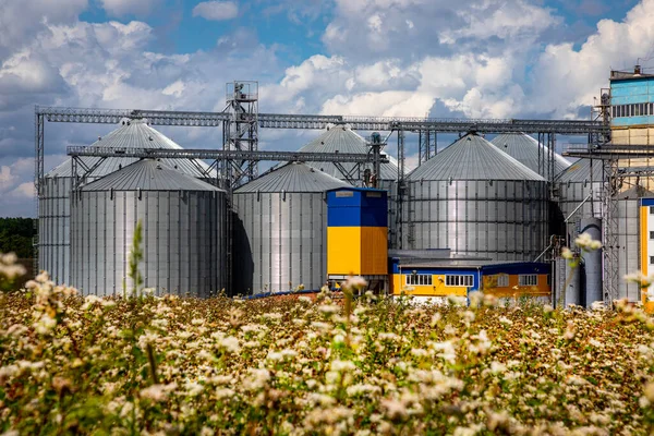 Agricultural Silos on the background of flowering buckwheat. Storage and drying of grains, wheat, corn, soy, sunflower against the blue sky with white clouds.