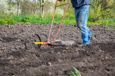 Bahar günü patates ekmek. Tarımda tarım işi