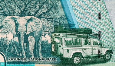 50 kwacha Malawi banknotu, Kasungu Milli Parkı 'nın resmi, tasarım için. Malavi 'nin Parası.