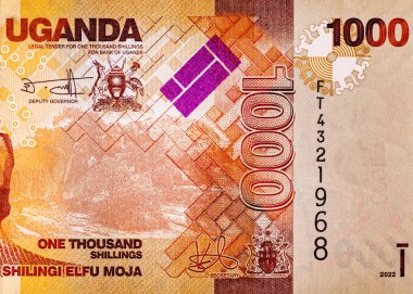 Banknote 1000 şilin Uganda 2022 baskı. Tasarım için parçalar. Uganda 'nın kağıt parası