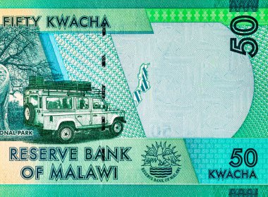 50 kwacha Malawi banknotu, Kasungu Milli Parkı 'nın resmi, tasarım için. Malavi 'nin Parası.