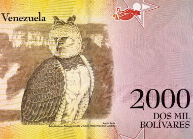 2000 Venezuelalı Bolivars Banknote, Aguila Arpia 'nın görüntüsüyle. Venezuela parası.