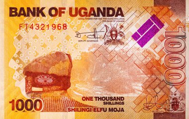 Banknote 1000 şilin Uganda 2022 baskı. Tasarım için parçalar. Uganda 'nın kağıt parası
