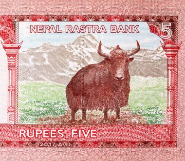 5 rupilik Nepal banknotunda Yak resmi var, tasarım için bir parça. N