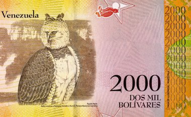 2000 Venezuelalı Bolivars Banknote, Aguila Arpia 'nın görüntüsüyle. Venezuela parası.