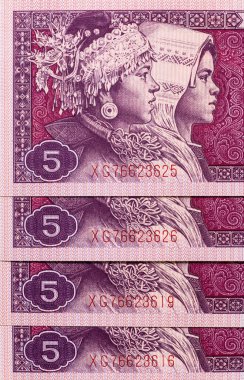 Banknote 5 Jiao, Miao ve Zhuang 'ın portresi ve Çin halkının ulusal amblemi. Çin 'in kağıt parası..