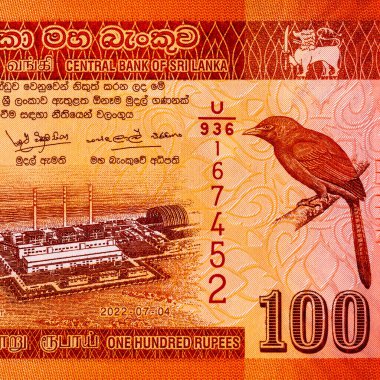 Sri Lanka 'da Norochcholai Kömür Santrali resmi 100 rupi. Sri Lanka 'nın parası