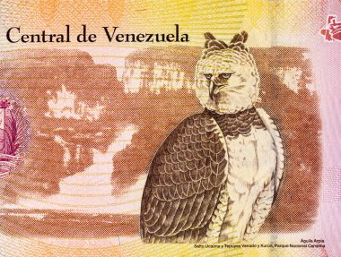 2000 Venezuelalı Bolivars Banknote, Aguila Arpia 'nın görüntüsüyle. Venezuela parası.