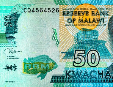 Malawi 50 kwacha banknot, tasarım için parça. Malavi parası..