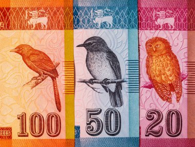 Sri Lanka parası. Çeşitli Sri Lanka kağıt banknotları