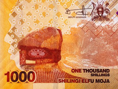 Banknote 1000 şilin Uganda 2022 baskı. Tasarım için parçalar. Uganda 'nın kağıt parası