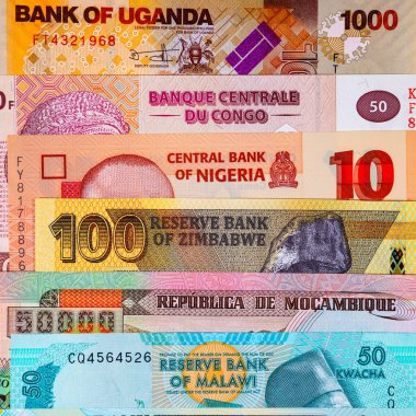 Afrika 'nın parası. Afrika ülkelerinin kağıt banknotları.