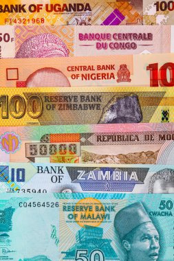 Afrika 'nın parası. Afrika ülkelerinin kağıt banknotları.