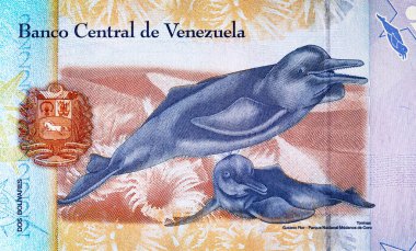 Venezuela 2 Bolivar banknotu ve tonina resmi. Venezuela parası. Venezuela 2 Bolivar banknotu ve tonina resmi. Venezuela parası.