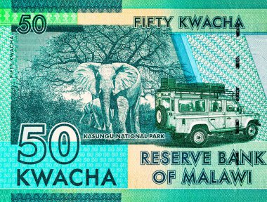 50 kwacha Malawi banknotu, Kasungu Milli Parkı 'nın resmi, tasarım için. Malavi 'nin Parası.