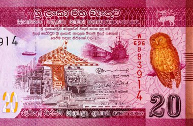 Banknote 20 rupi Sri Lanka 'da resim kolombo portu, tasarım için parça. Sri Lanka 'nın Parası.