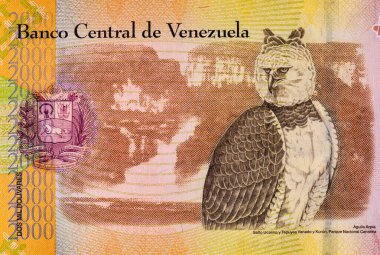 2000 Venezuelalı Bolivars Banknote, Aguila Arpia 'nın görüntüsüyle. Venezuela parası.
