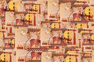 Banknote 1000 şilin Uganda 2022 'de fauna ve geyik resmi. Tasarım için parçalar. Uganda 'nın kağıt parası