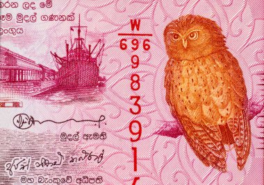 20 rupi baykuşlu Sri Lanka banknotu, tasarım için parça. Sri Lanka parası