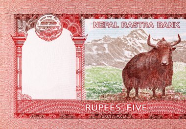 5 rupilik Nepal banknotunda Yak resmi var, tasarım için bir parça. Nepal parası