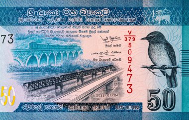 Banknote 50 rupi Sri Lanka Manampitiya Köprüsü resmi, tasarım için parça. Sri Lanka 'nın Parası