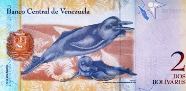Venezuela 2 Bolivar banknotu ve tonina resmi. Venezuela parası. Venezuela 2 Bolivar banknotu ve tonina resmi. Venezuela parası.