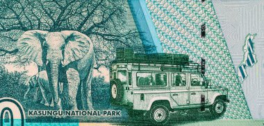 50 kwacha Malawi banknotu, Kasungu Milli Parkı 'nın resmi, tasarım için. Malavi 'nin Parası.