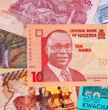 Afrika 'nın parası. Afrika ülkelerinin kağıt banknotları.