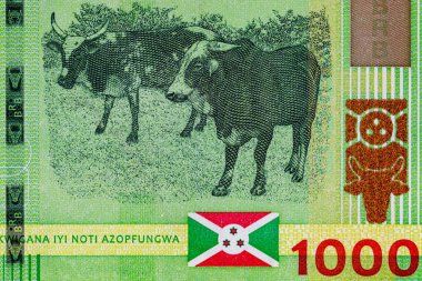 1000 Frank Burundi, 2021. Burundi Cumhuriyeti Ulusal Para Birimi