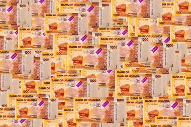 Banknote 1000 şilin Uganda 2022 baskı. Tasarım için parçalar. Uganda 'nın kağıt parası