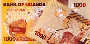 Banknote 1000 şilin Uganda 2022 baskı. Tasarım için parçalar. Uganda 'nın kağıt parası