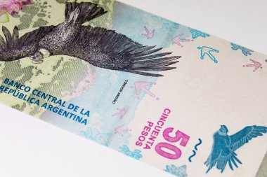 50 peso Arjantin And Akbabası 'nın görüntüsüyle. Arjantin 'in kağıt parası