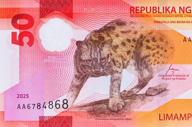 50 Piso Filipinler, Yeni Polymer Note 2025 Visayan Leoparı ile. Filipin Parası