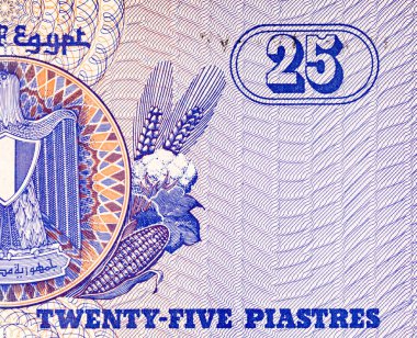 Mısır 25 Piastres 2004 Banknotları Mısır arması resmi ile. Mısır 'ın parası.