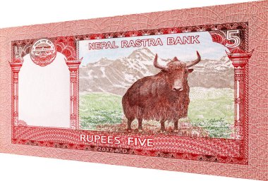 5 rupilik Nepal banknotunda Yak resmi var, tasarım için bir parça. Nepal parası