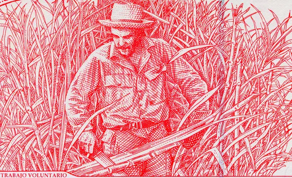 Kübalı 3 peso ve şeker kamışı kesen bir çiftçinin portresi. Antika Küba parası.