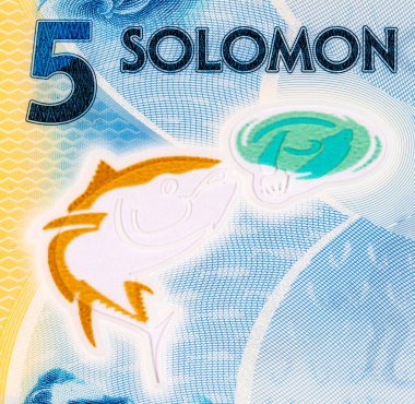 Solomon Adaları 5 Dolar. Polimer banknot parçası 2019 'da çıkarılmış ton balığını gösteriyor. Solomon Adalarının Parası.