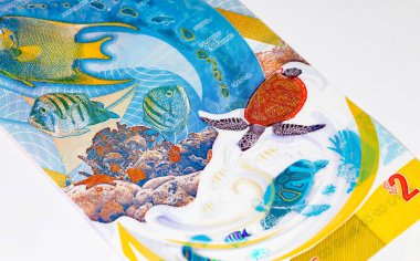 Doğu Karayipler 'e 2 dolar, adaların ve sualtı dünyasının görüntüsüne sahip polimer banknot. Doğu Karayip parası