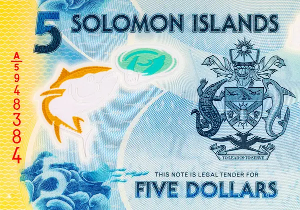 Solomon Adaları 5 Dolar. Polimer banknot parçası 2019 'da çıkarılmış ton balığını gösteriyor. Solomon Adalarının Parası.