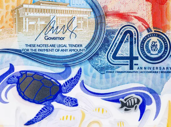 Doğu Karayipler 'e 2 dolar, adaların ve sualtı dünyasının görüntüsüne sahip polimer banknot. Doğu Karayip parası