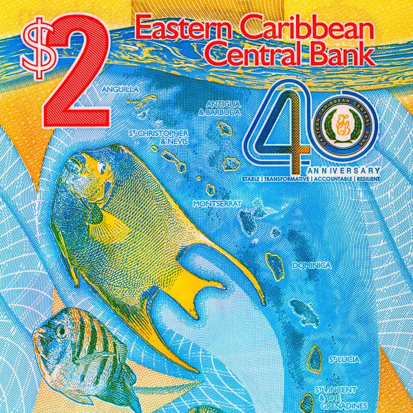 Doğu Karayipler 'e 2 dolar, adaların ve sualtı dünyasının görüntüsüne sahip polimer banknot. Doğu Karayip parası