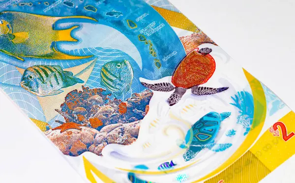 Doğu Karayipler 'e 2 dolar, adaların ve sualtı dünyasının görüntüsüne sahip polimer banknot. Doğu Karayip parası