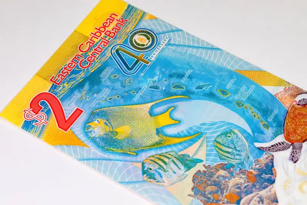 Doğu Karayipler 'e 2 dolar, adaların ve sualtı dünyasının görüntüsüne sahip polimer banknot. Doğu Karayip parası